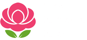 Pink Camellia Care